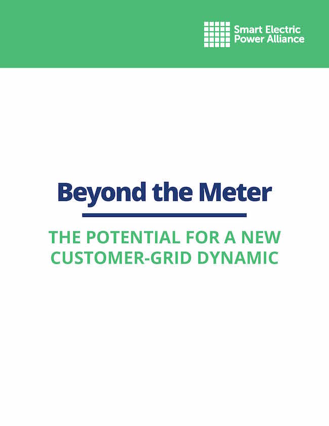 Beyond The Meter: The Potential for a New Customer-Grid Dynamic