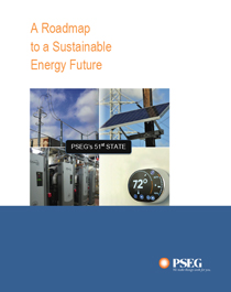 A Roadmap to a Sustainable Energy Future