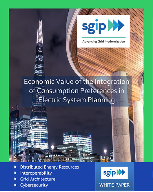 Economic Value of the Integration of Consumption Preferences in Electric System Planning