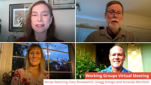 The Working Groups Virtual Meeting Recap: 3 Days of Insights in Less Than 6 Minutes