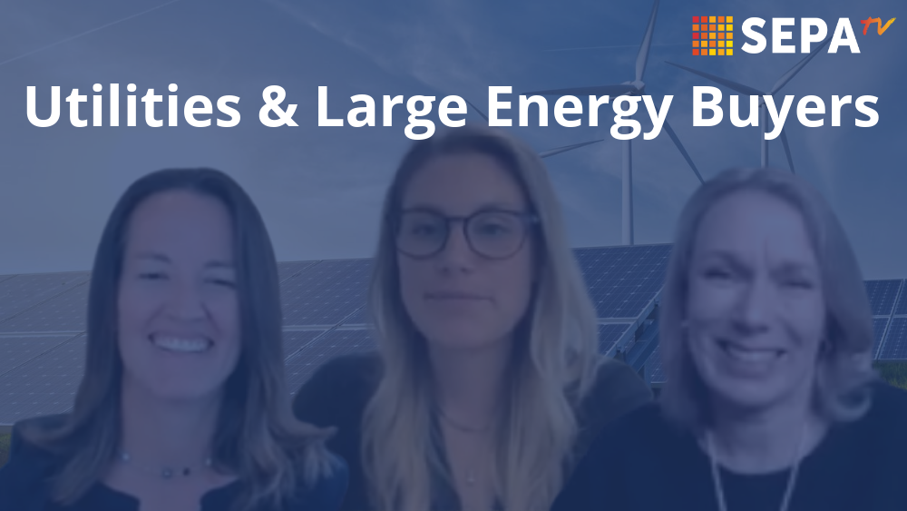 Utilities & Large Energy Buyers: Partners in Clean Energy