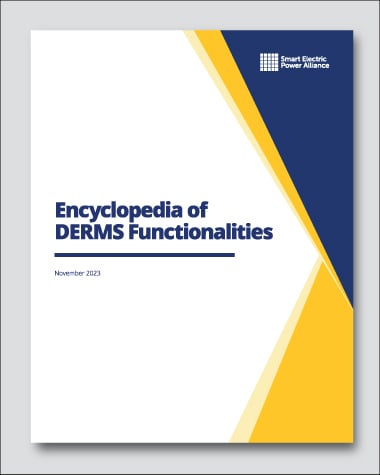 Encyclopedia of DERMS Functionalities