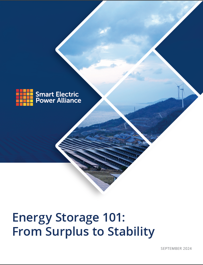 Energy Storage Primer 101